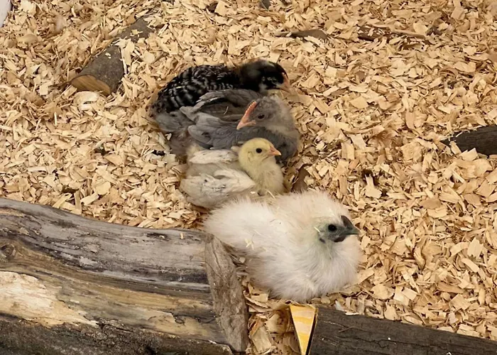 Holiday home La Casita De Campo