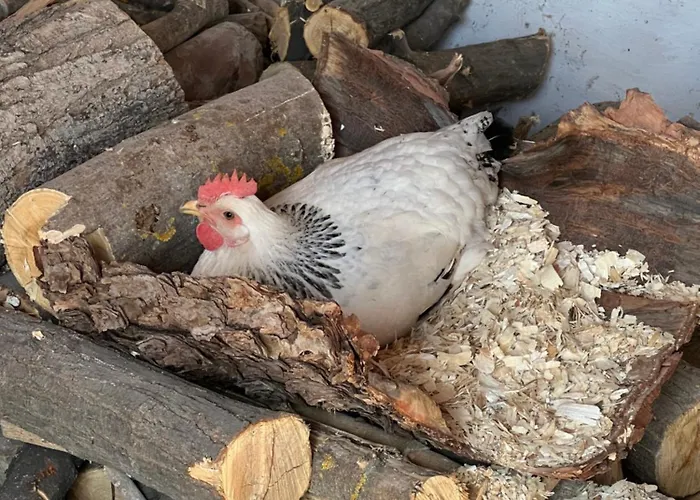 La Casita De Campo Córdova