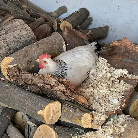 La Casita De Campo Córdoba